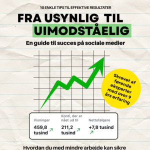 E-bog: Fra Usynlig til Uimodståelig